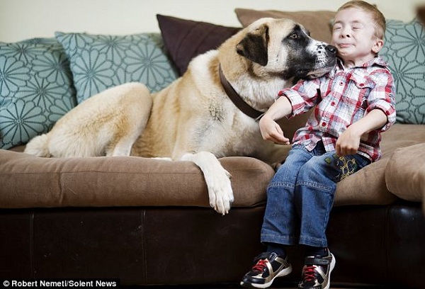  Owen Howkins e seu cão