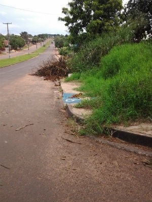 Leitor flagrou rampa para cadeirantes tomada por mato (Foto: Arquivo Pessoal)