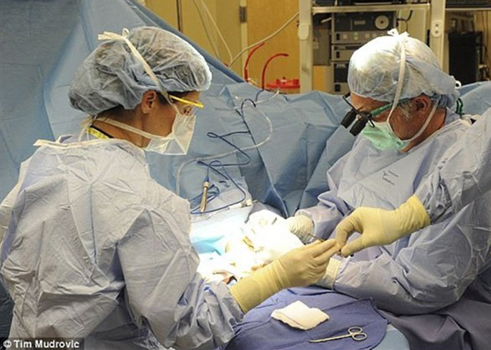 Dr. Ted Rummel fazendo uma cirurgia. Foto: Tim Mudrovic
