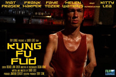 Cartaz do filme "Kung Fu Flid"