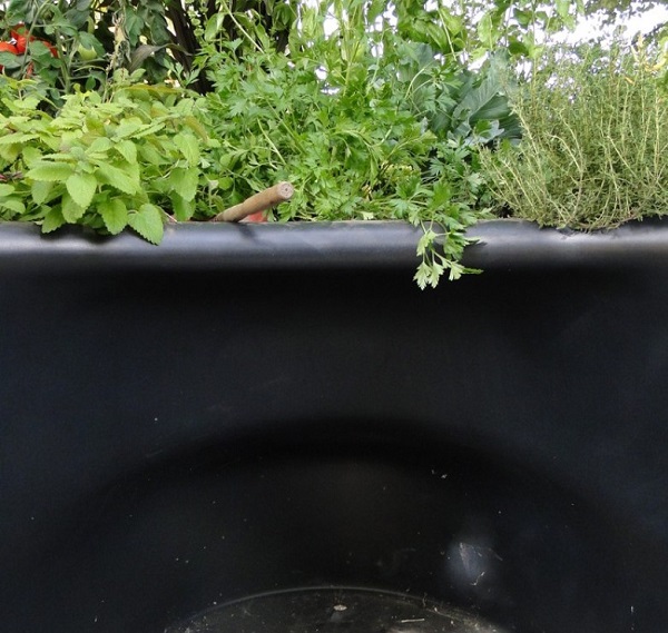 jardim para cadeirantes