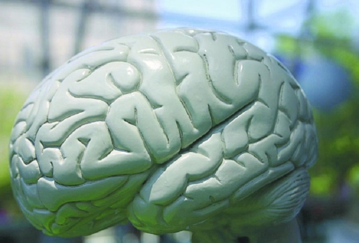 Tecnologia. Nova possibilidade servirá para facilitar o treinamento de novos neurocirurgiões, dizem especialistas