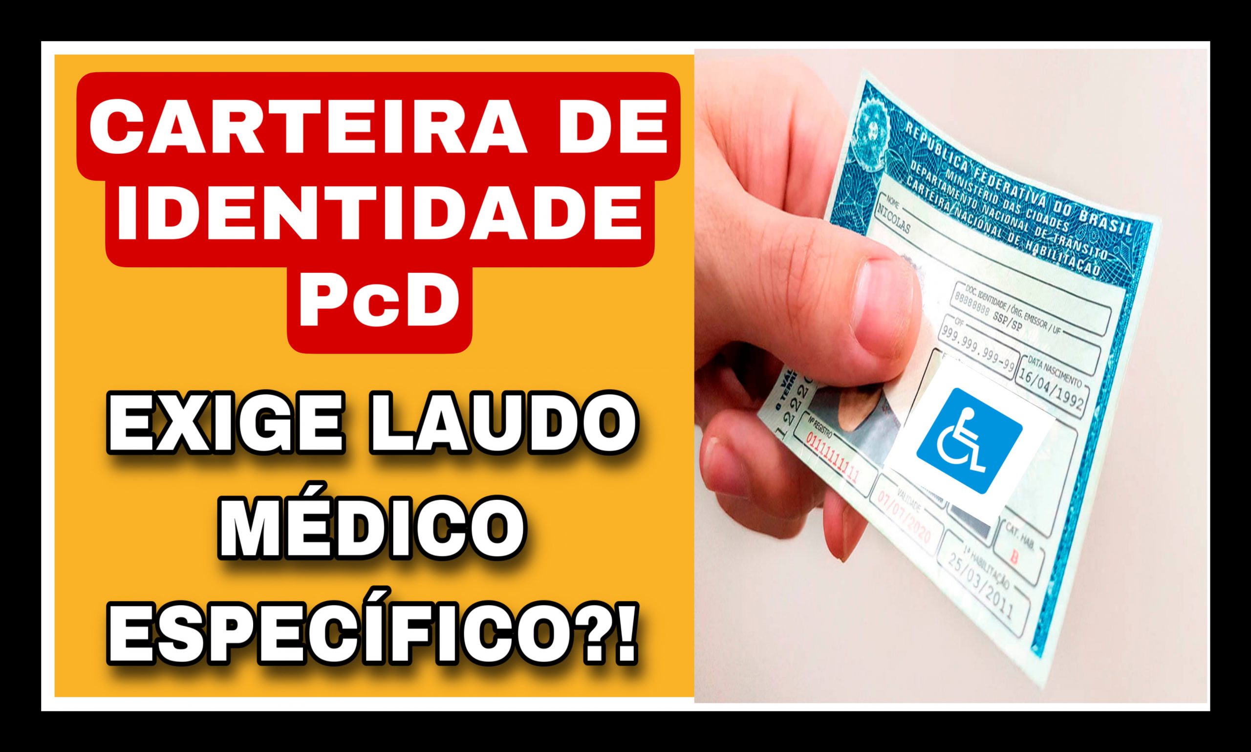 carteira de identidade pcd