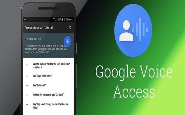 App Voice Access (Google)